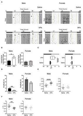 In utero Exposure to Valproic-Acid Alters Circadian Organisation and Clock-Gene Expression: Implications for Autism Spectrum Disorders